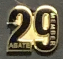Members 29 Year Pin